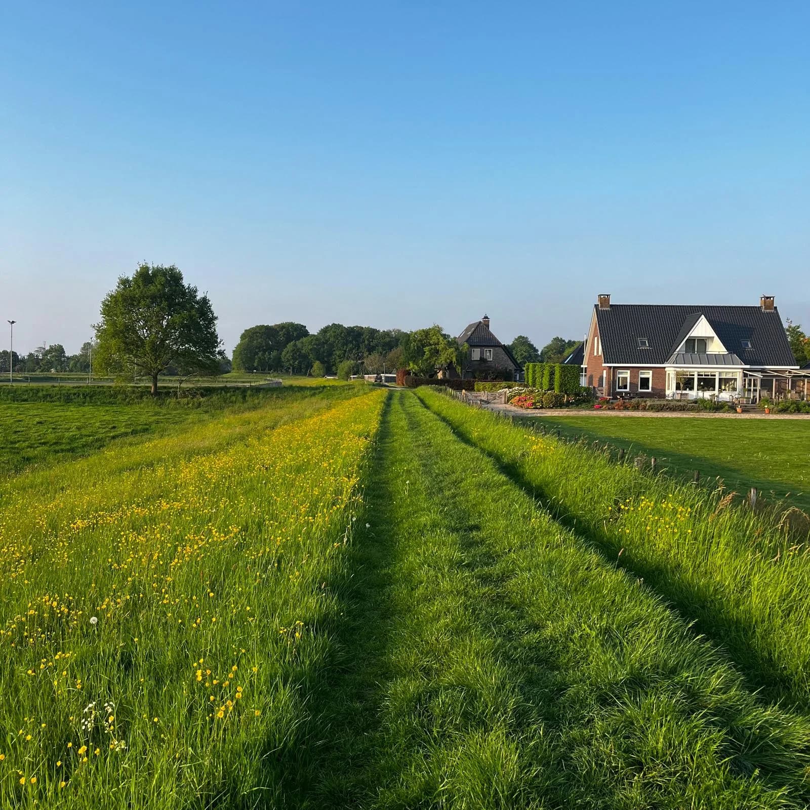 An owner-photographed countryside home and open meadow in the Netherlands