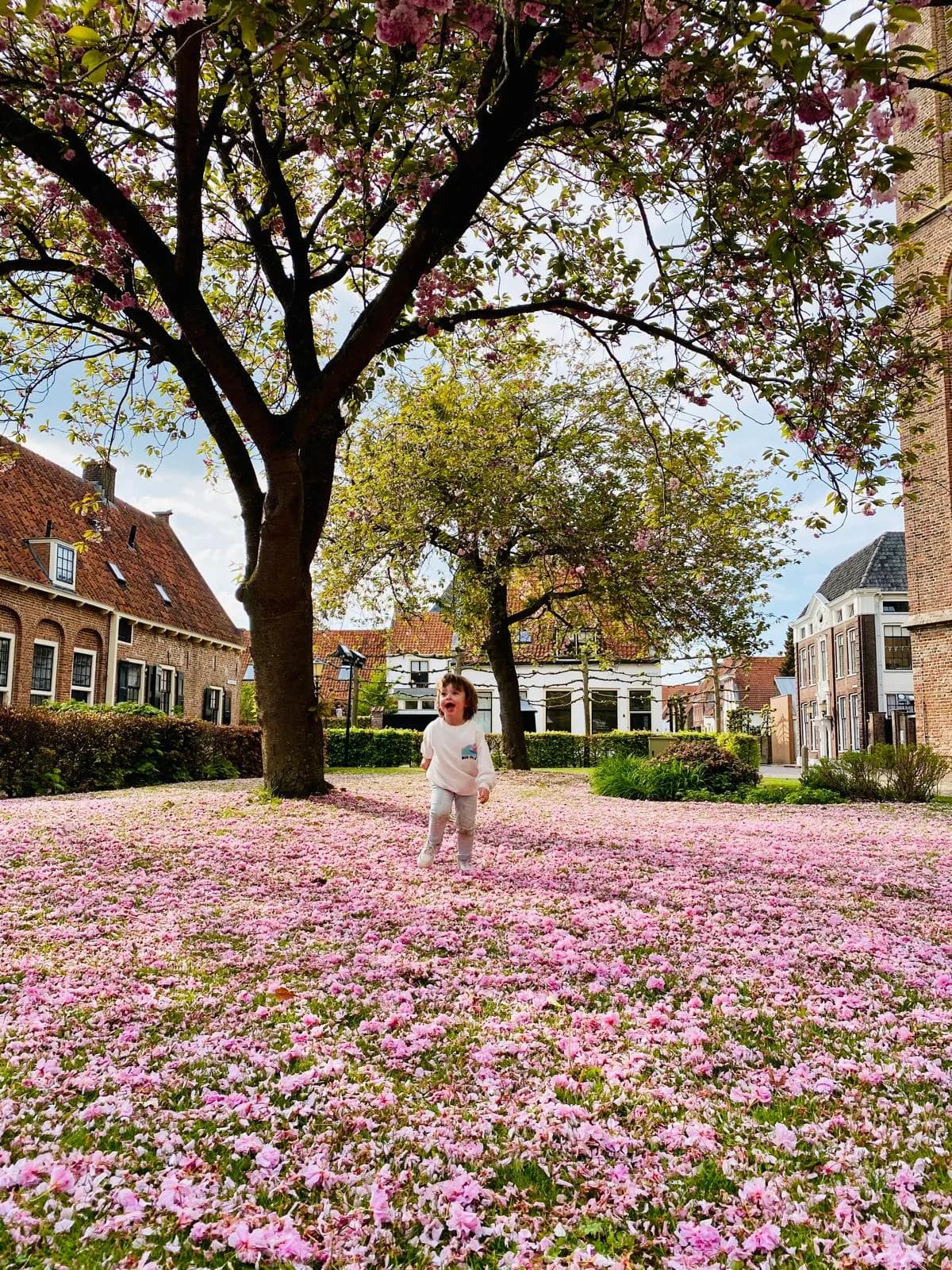 A child playing beneath flowering trees in a Dutch town