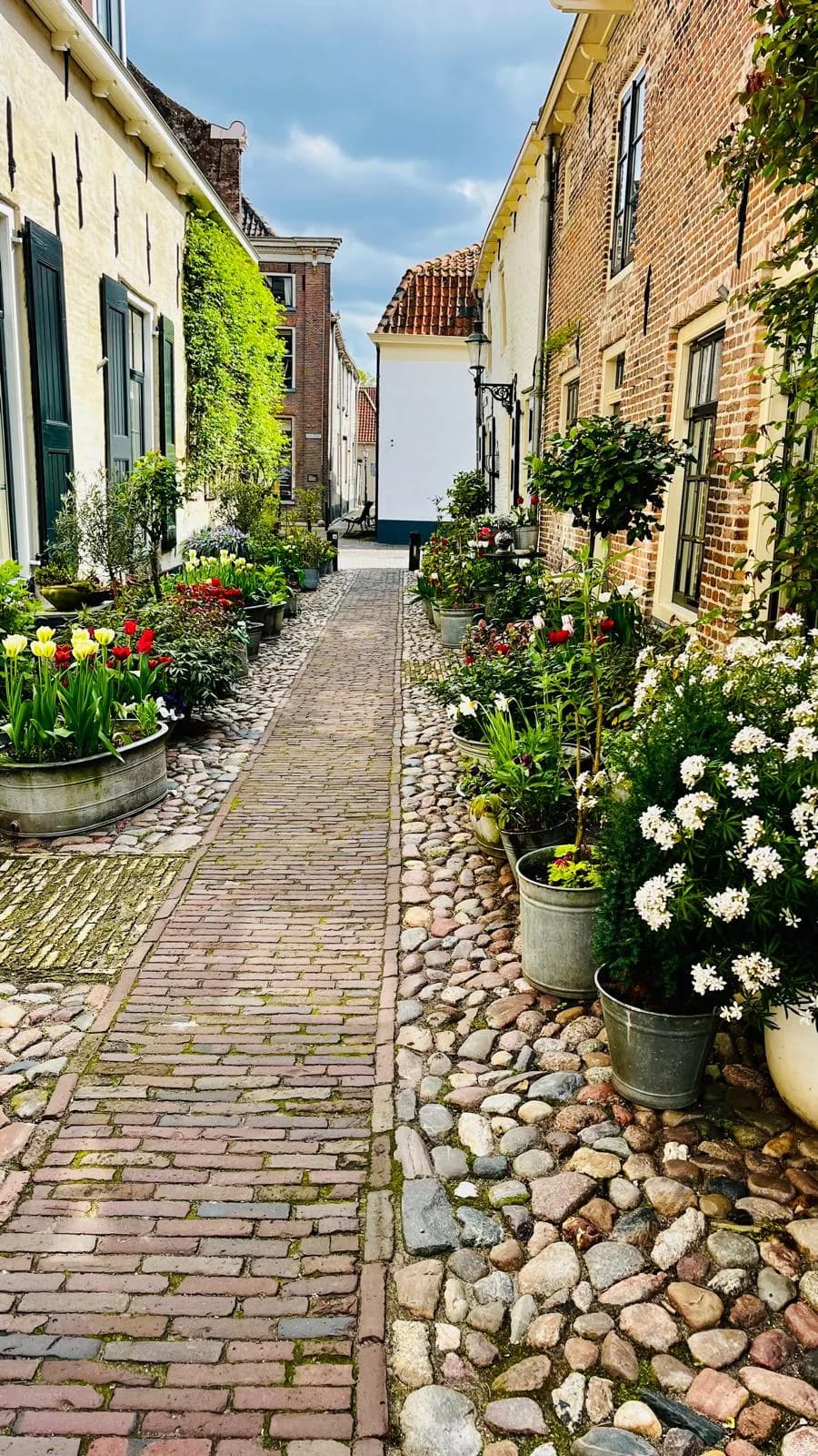 Flowers outside charming brick homes along a narrow Dutch street