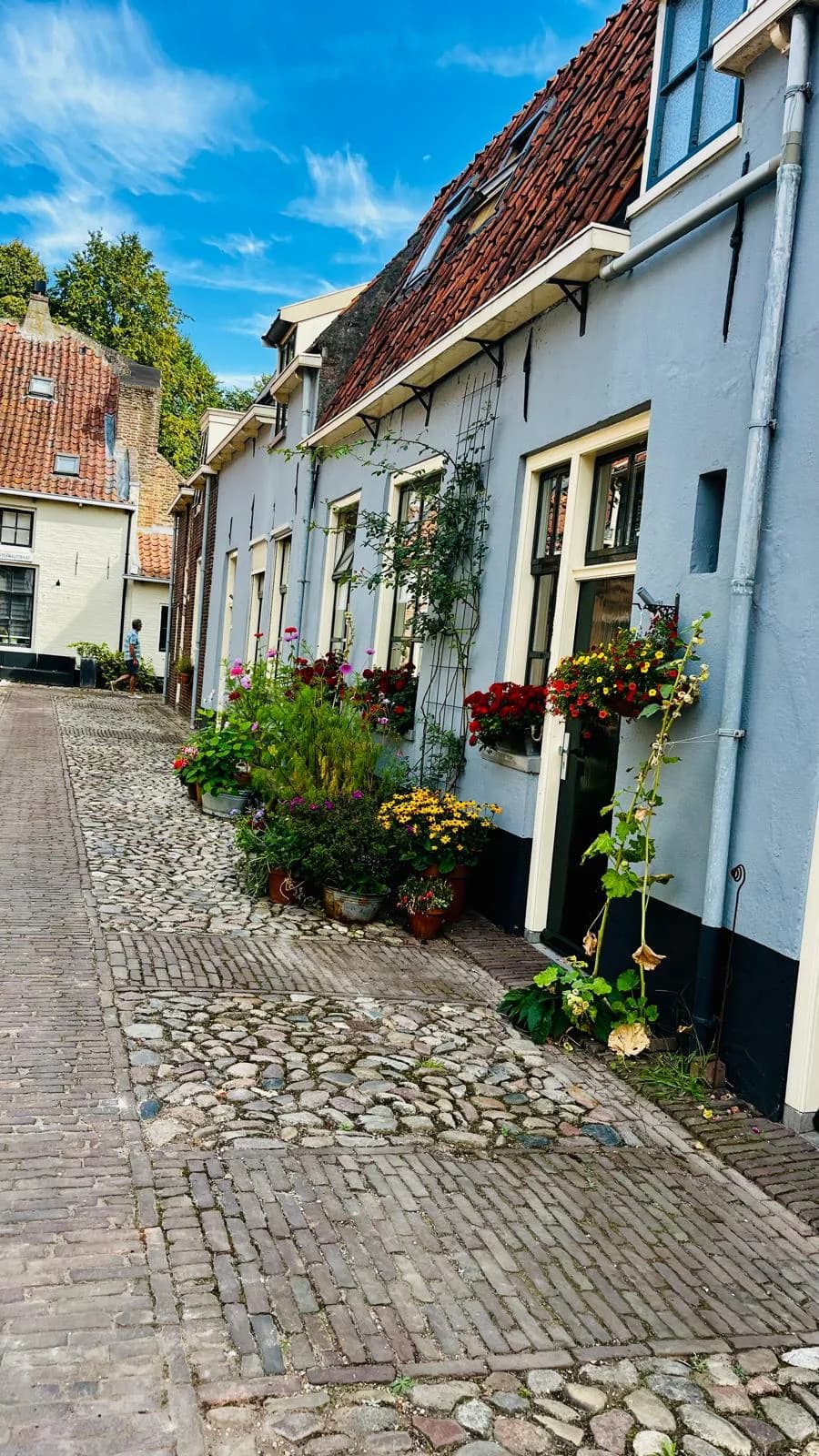 A flower-filled historic Dutch cobbled lane
